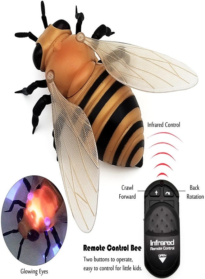 Tipmant Realistic RC Honey Bee Remote Control Insect Animal Vehicle Car Prank Toys Pet Cat Dog Teasing Kid Birthday Gifts - Image 2